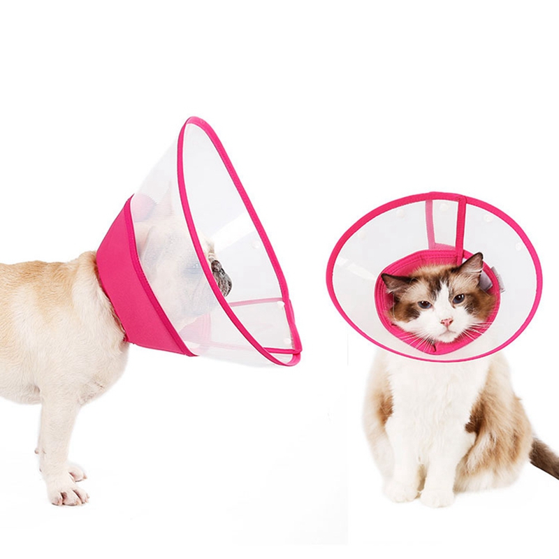 best pet wholesalers