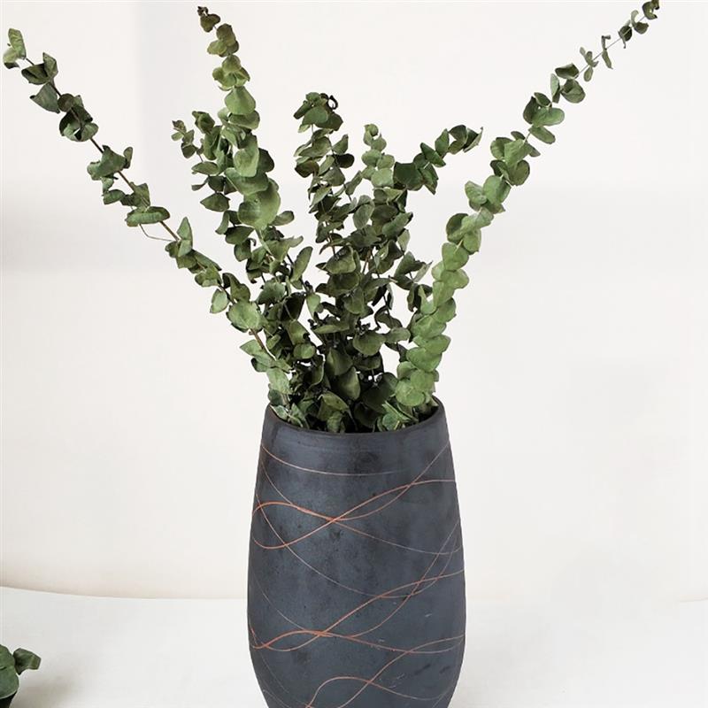 

10pcs Plant Branches Leaves Bunch Decorative Dried Eucalyptus Leaves Leaf Branches for Home Wedding Decoration indoor, Green