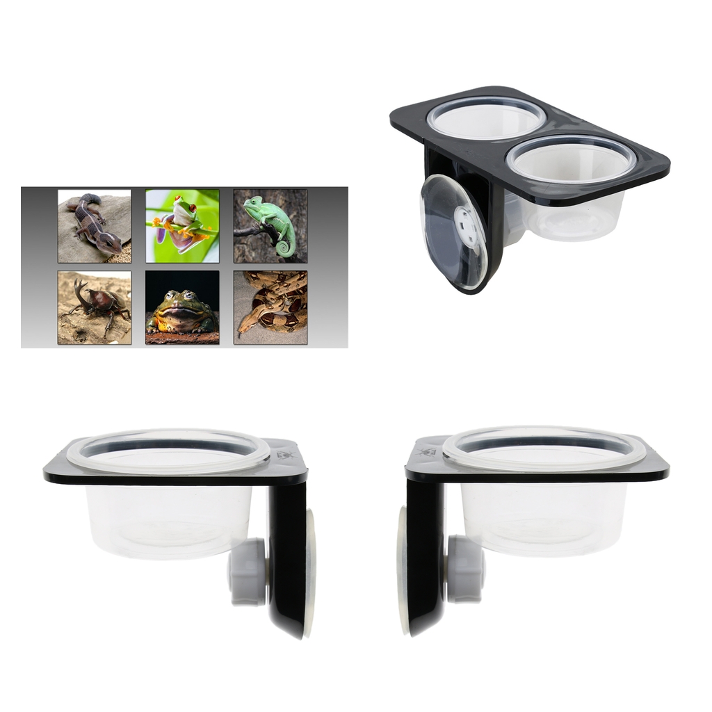 

3pcs dual + single reptile feeding food water bowl with suction cup for worm