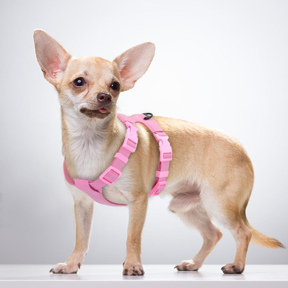 Buy Best And Latest Occasion Dog Harness For Small Dogs Chihuahua