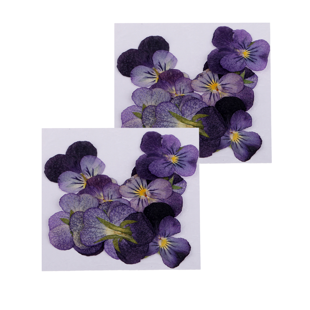 

24 pieces pressed violet real dried flowers embellishments for craft diy nail art jewelry making diy pendants charms