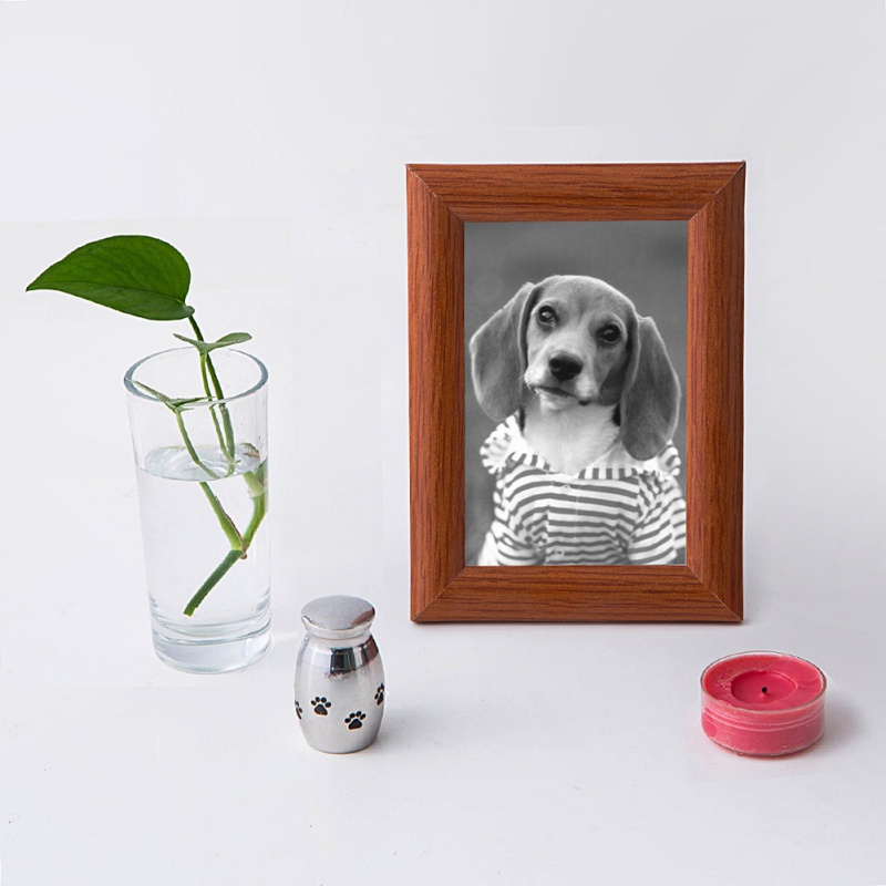 

Stainless Steel Commemorative Cinerary Casket Creative Urn Small Memories Jar For Pet 2.3*1.7*1.3CM