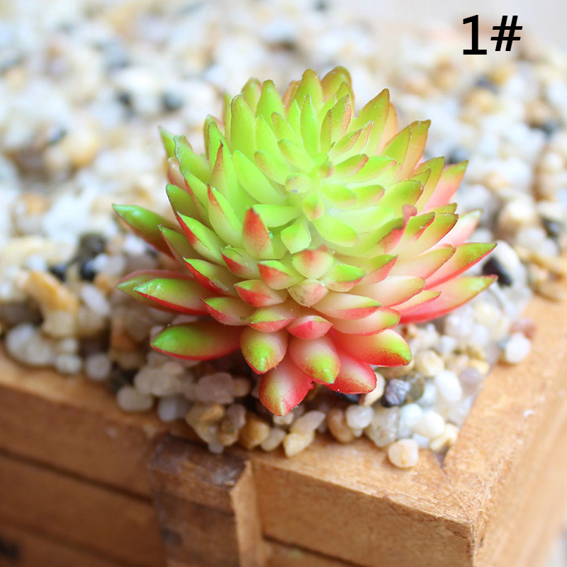 

Artificial Succulent Plant 6cm/2.36inches 4cm/1.57inches Plastic Bonsai Plant Home Garden Balcony Table Decoration