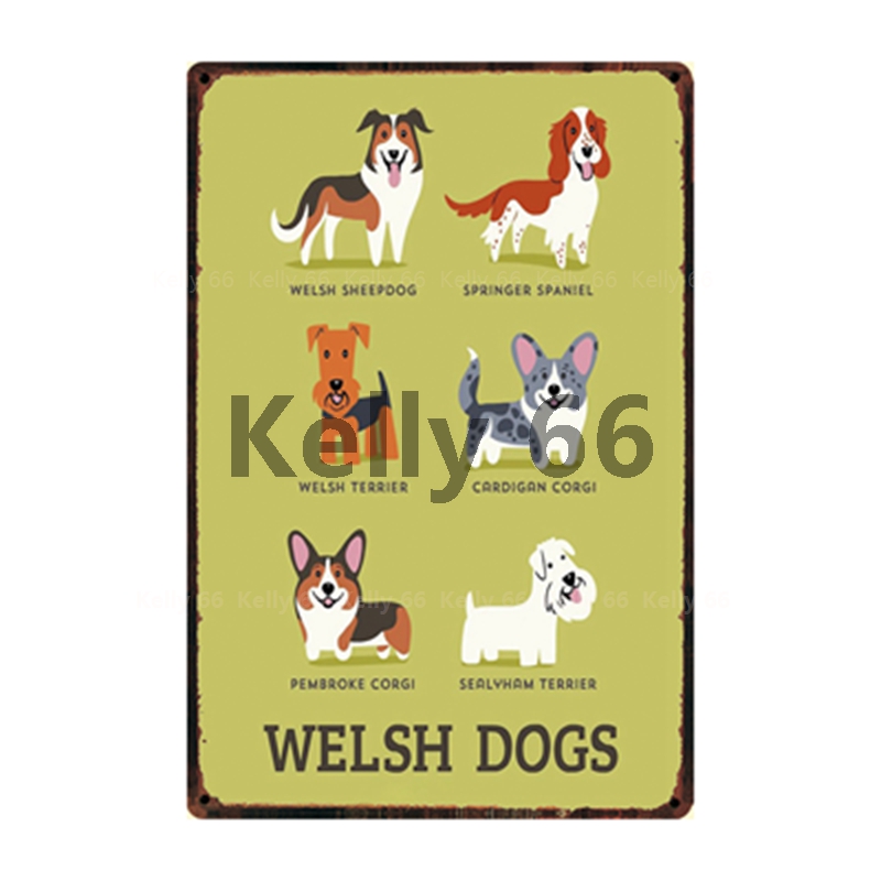 MY DOG/'S RULES RETRO STYLE METAL TIN SIGN//PLAQUE WELSH TERRIER THEME