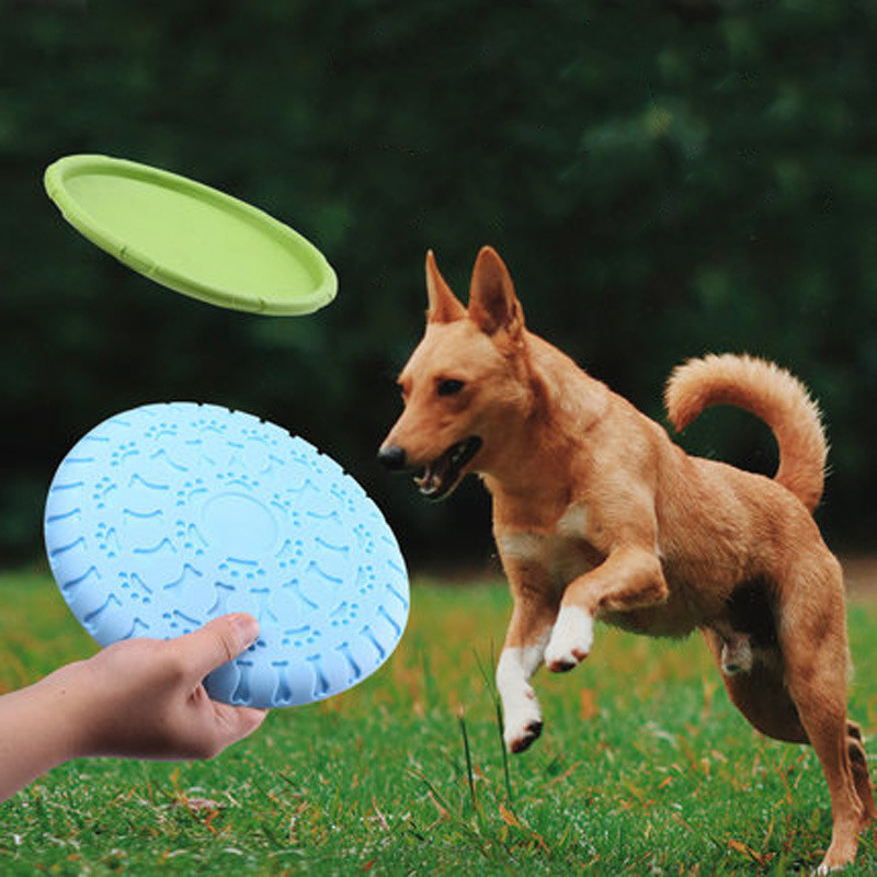 bulk frisbees for dogs