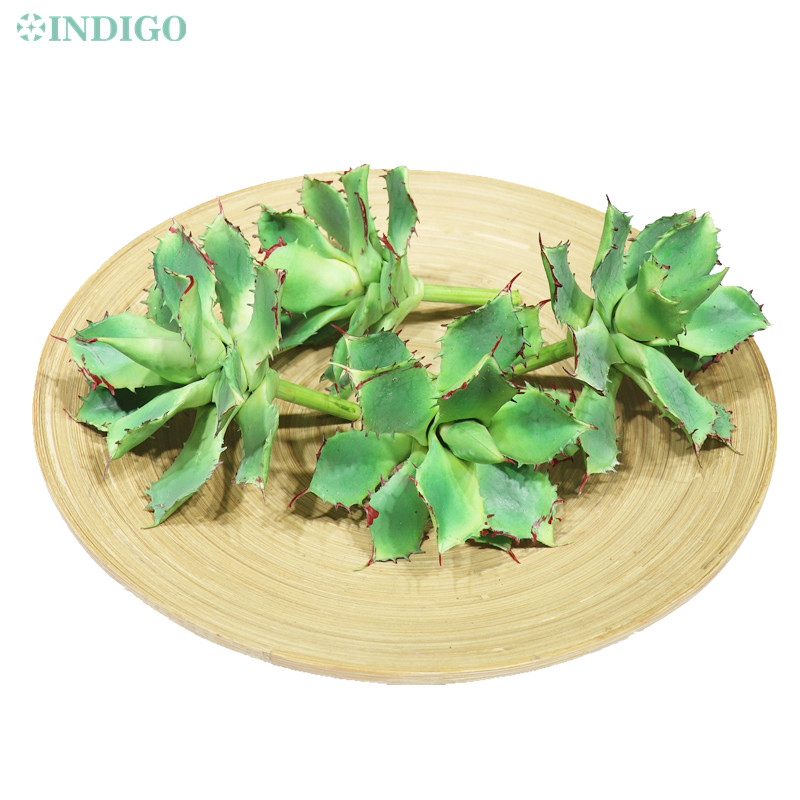 

INDIGO- Green Aloe Succulent Plant Plastic Flower Table Decoration Green Plant Background, 1pc