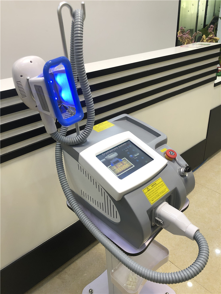 

Newest Cryolipolysis Machine / Cryolipolysis Slimming Fat Loss Machine