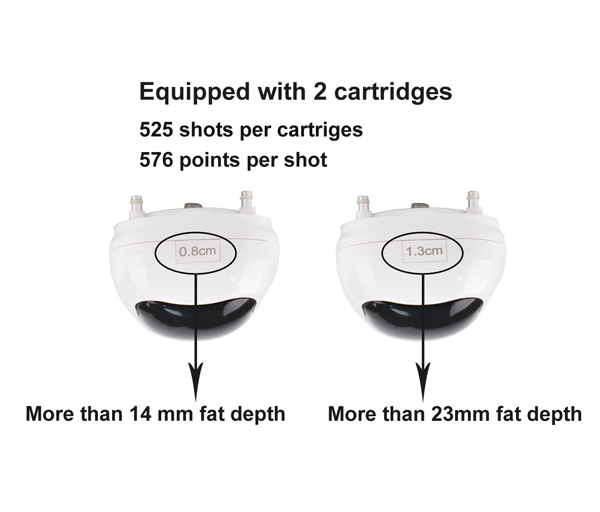

Cartridges 8mm 13mm for portable and vertical liposonix slimming machine