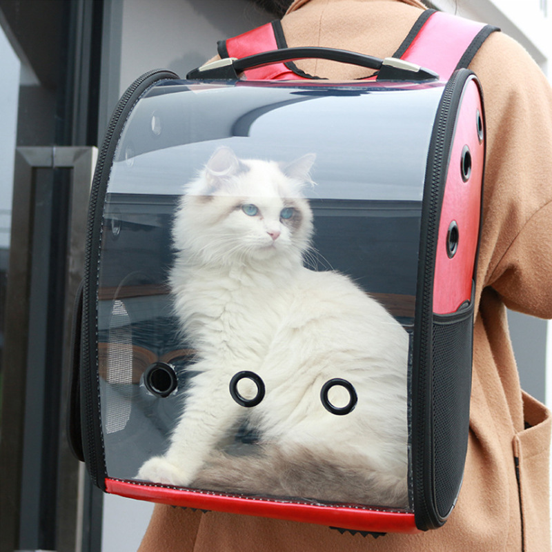 plastic cat backpack