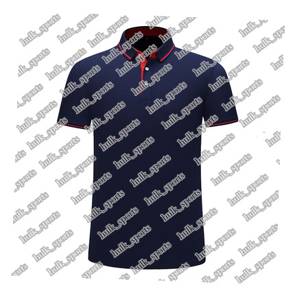 

2656 Sports polo Ventilation Quick-drying Hot sales Top quality men 201d T9 Short sleeve-shirt comfortable new style jersey11110, Brown