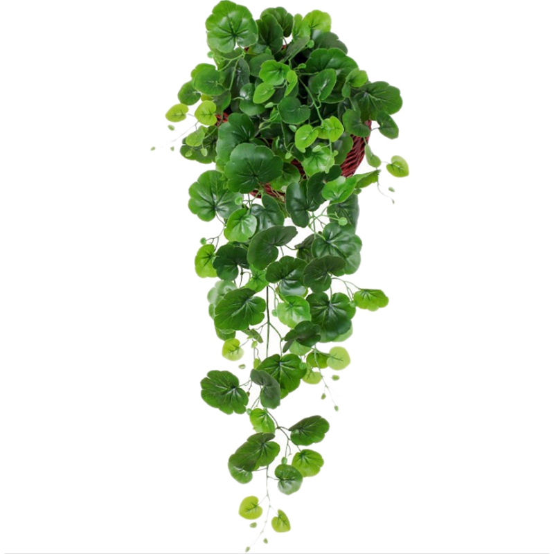 

Wall Hanging Flower Simulation Green Dill Living Room Green Plant Decoration Hanging Fake Flower Rattan