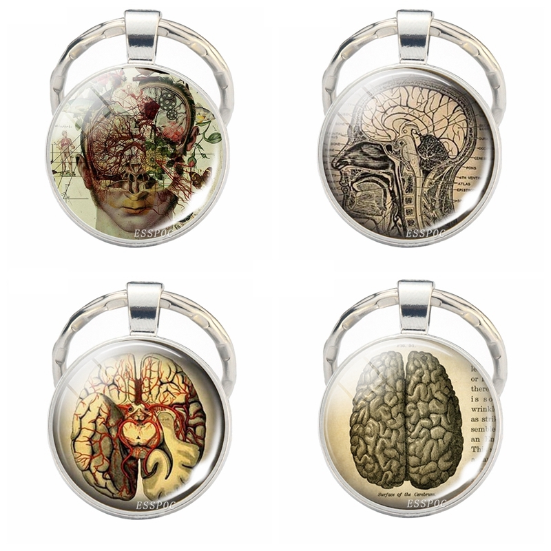 

Brain Shell Keychain Brain Jewelry Medical Brain Picture Glass Cabochon Keychain Gift for Doctors and Nurses Medical Students