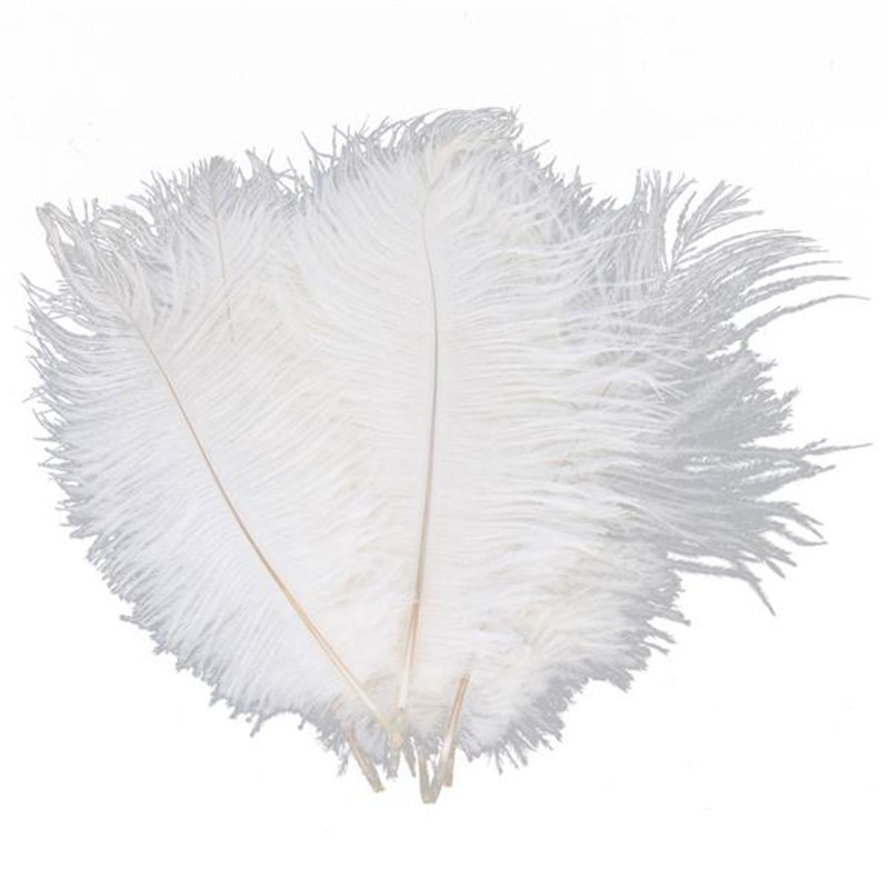 Gros lot de 500 plumes blanche