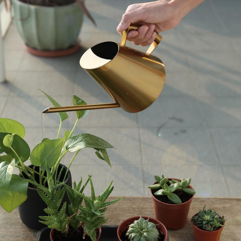 

Stainless Steel Watering Can Bonsai Plants Handheld Water Pot with Long Spout Indoor Outdoor Watering Plants Flower Garden Tool, A22 plastic 600ml