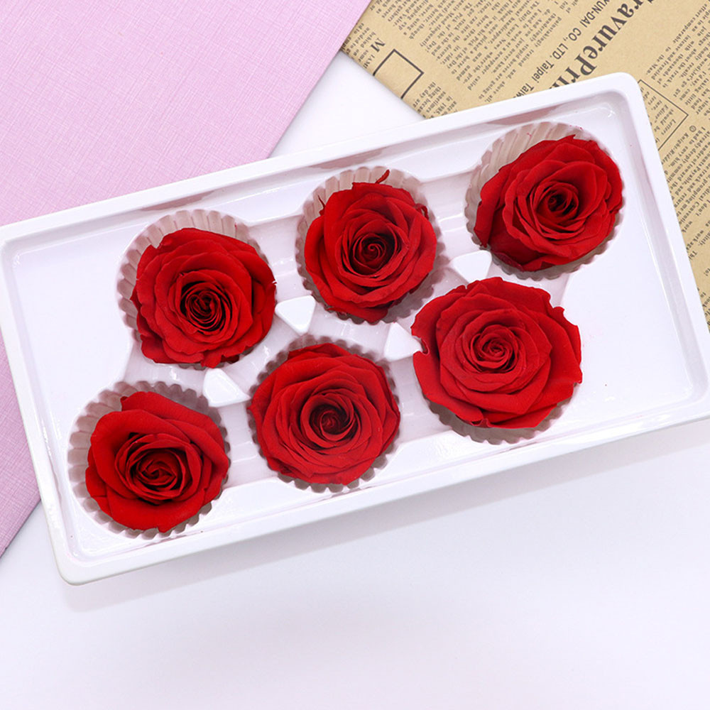 

6Heads/Box 5-6cm Preserved Rose Flowers Flower Immortal Rose 5cm Diameter Mothers Day Gift Eternal Life Flower Material Gift Box