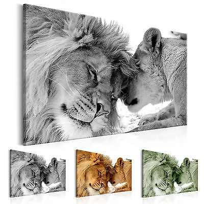 

Unframed 1 Panel Large HD Printed Canvas Print Painting Animal Lion Home Decoration Wall Pictures for Living Room Wall Art on Canvas
