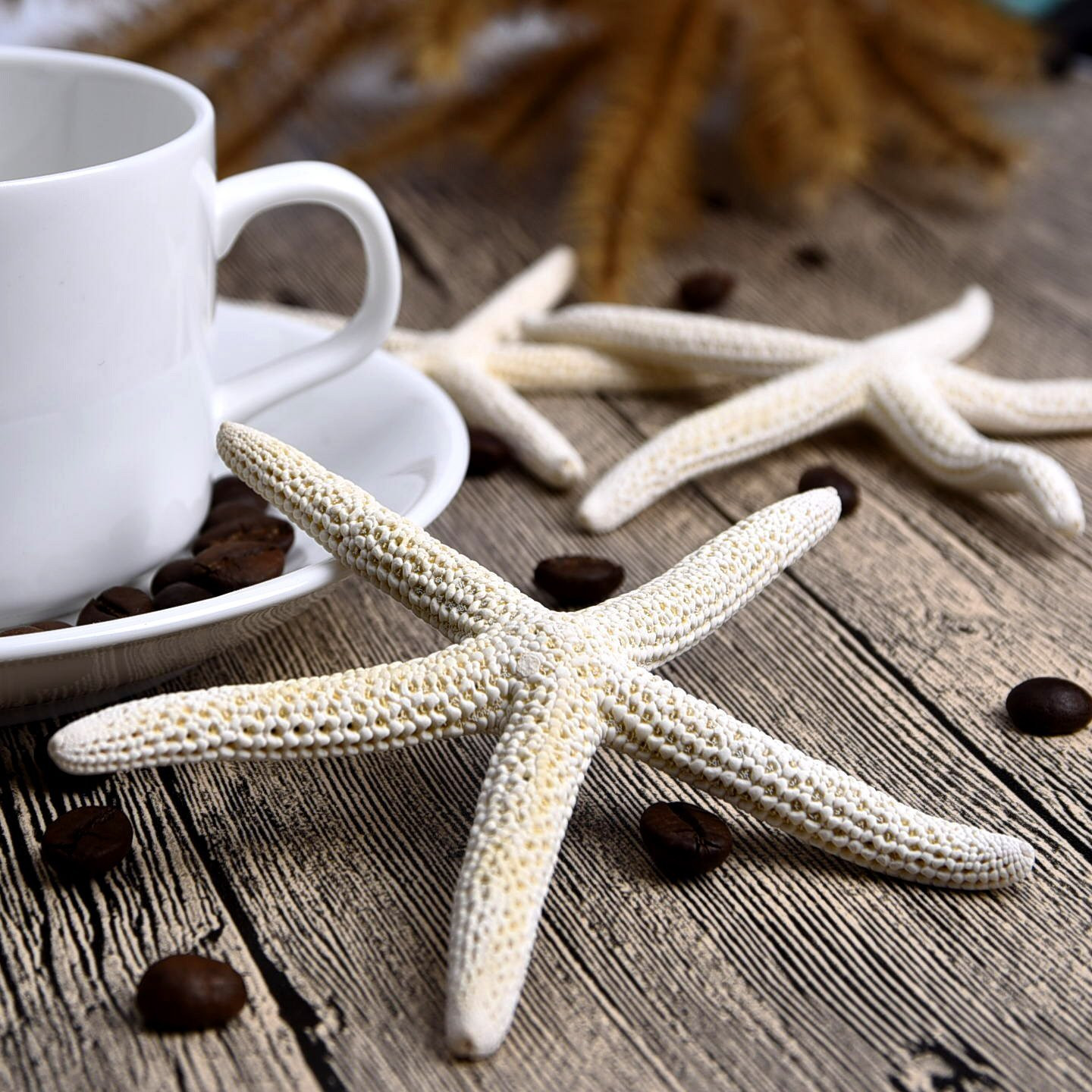 

Hot 30 Piece 10-12cm White Natural Finger Starfish Craft Decoration Natural Sea Star DIY Beach Cottage Wedding Decor Dropshipping