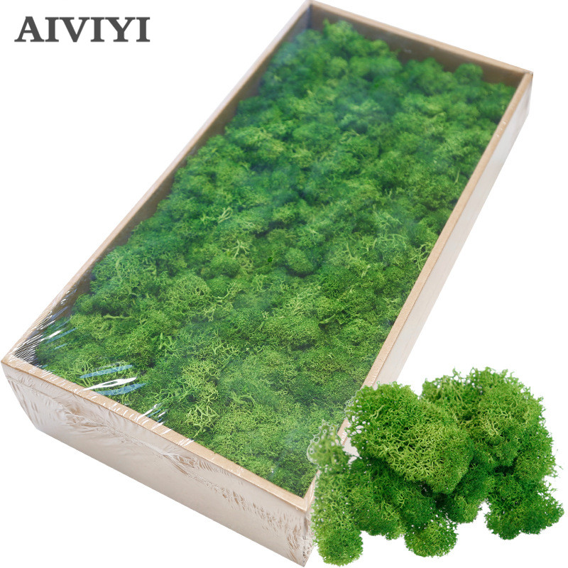 Wholesale Decorative Moss Buy Cheap Decorative Moss 2020 On Sale