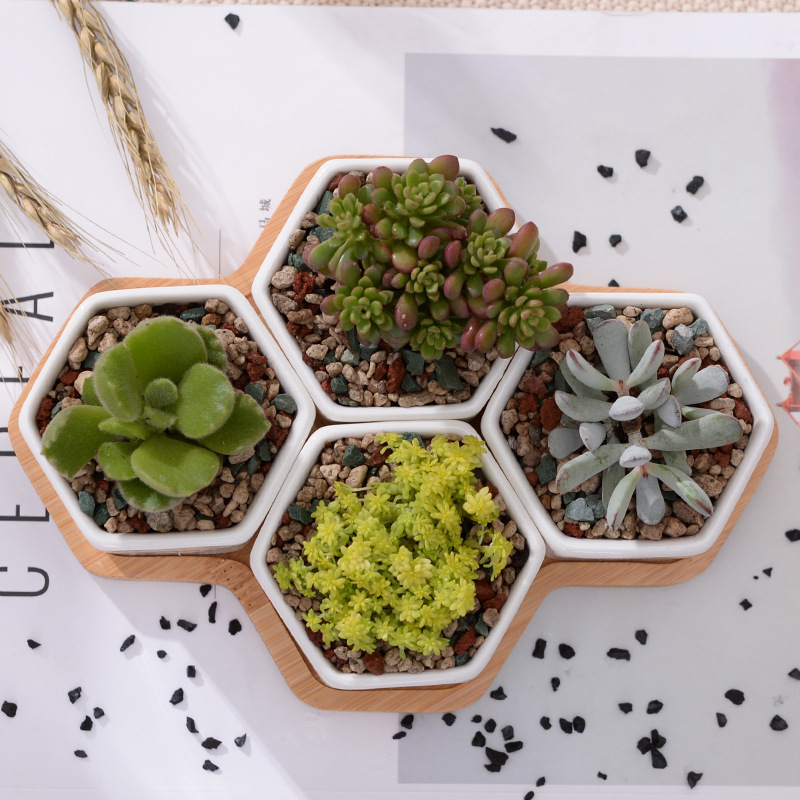 Artificial Plants Desktop Plant Stand Metal Standing Rack with Planter Pots for Small Succulents Mini Cactus L-Gold 9.5cm Pot