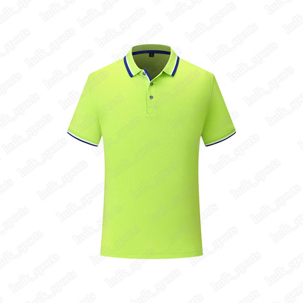 

2656 Sports polo Ventilation Quick-drying Hot sales Top quality men 201d T9 Short sleeve-shirt comfortable new style jersey0441100, Brown