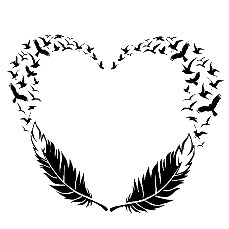 

18*14.9cm Bird Feathers Decal Fashion Personality Creativity Classic Attractive Vinyl Car Wrap Decor Decals, Color