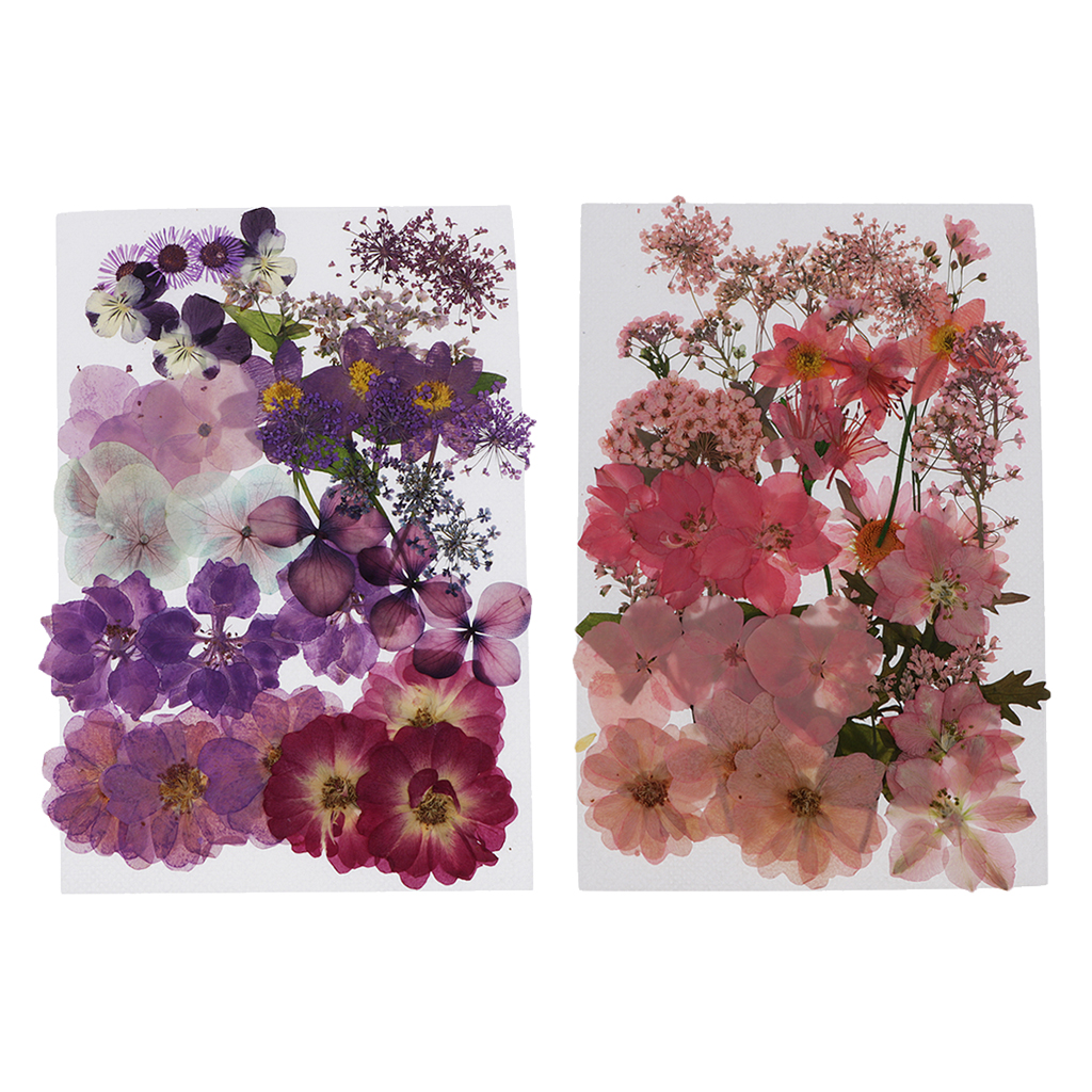 

75pcs natural real pressed dried flowers diy scrapbook and pink