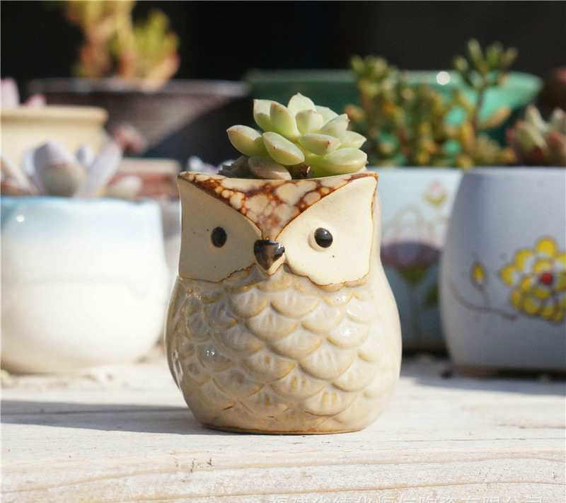 

New Owl Thumb Pot Succulent Stoneware Pottery Small Pot Animal Flower Kiln Change Hand-painted Flower Pot