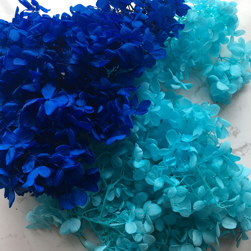 

20g/lot Nature Fresh Preserved Hydrangea,DIY Eternell Floral Flower, Party Wedding Favor Gift Box Decor ,Eternelle Rose, Dark blue