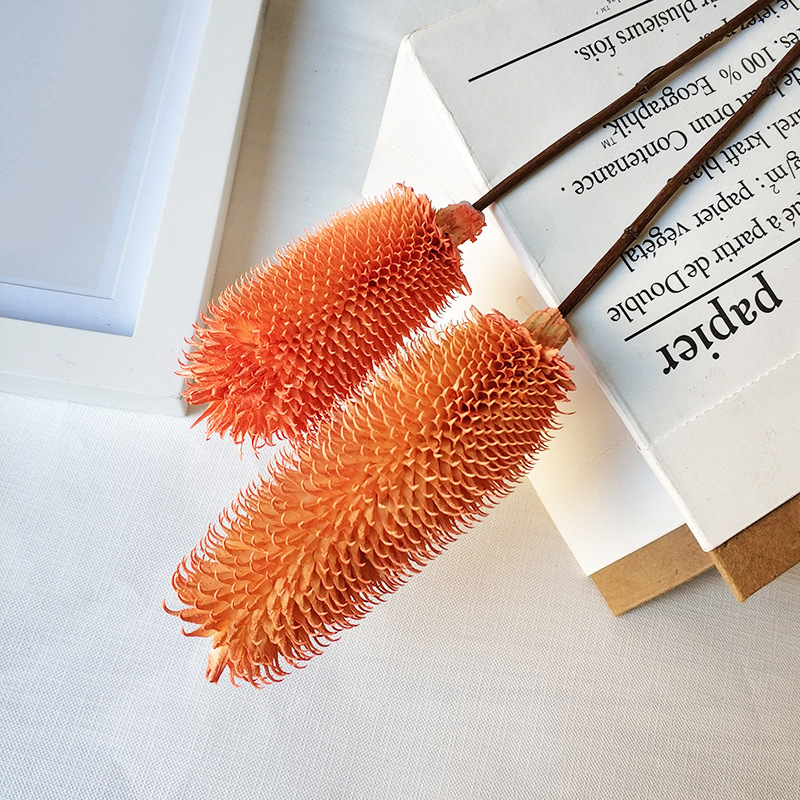 

5pcs,Nature Dried Flower Teasel Branch,DIY Real Eternal Rose Life,Home Wedding Easter Decoration,flower gift bouquet accessories, White