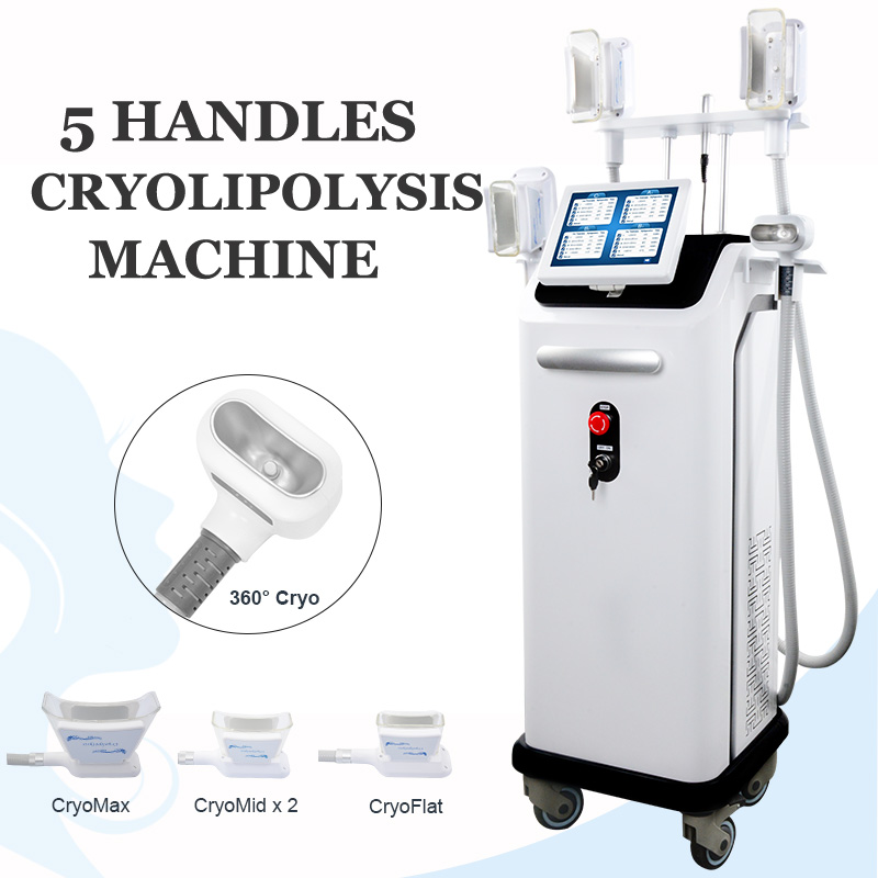 

FDA approved fat freeze machine cryolipolysis freezing fats liposuction slimming 5 handles working criolipolisis weight loss equipment