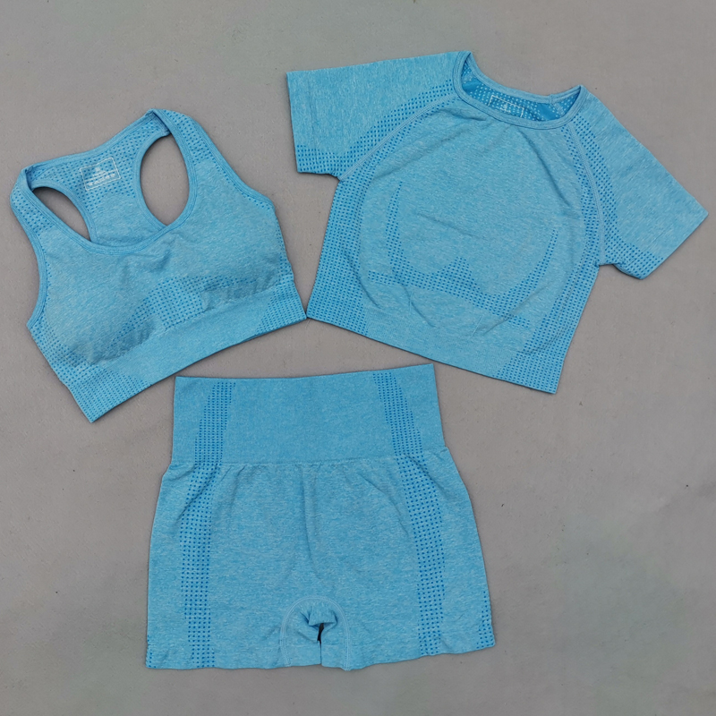 

Vital Seamless Yoga Set Women Gym Workout Clothes Sports Bra Short Sleeve Fitness Crop Top High Waist Shorts Legging Sports Suit, 2pcs gray blue set