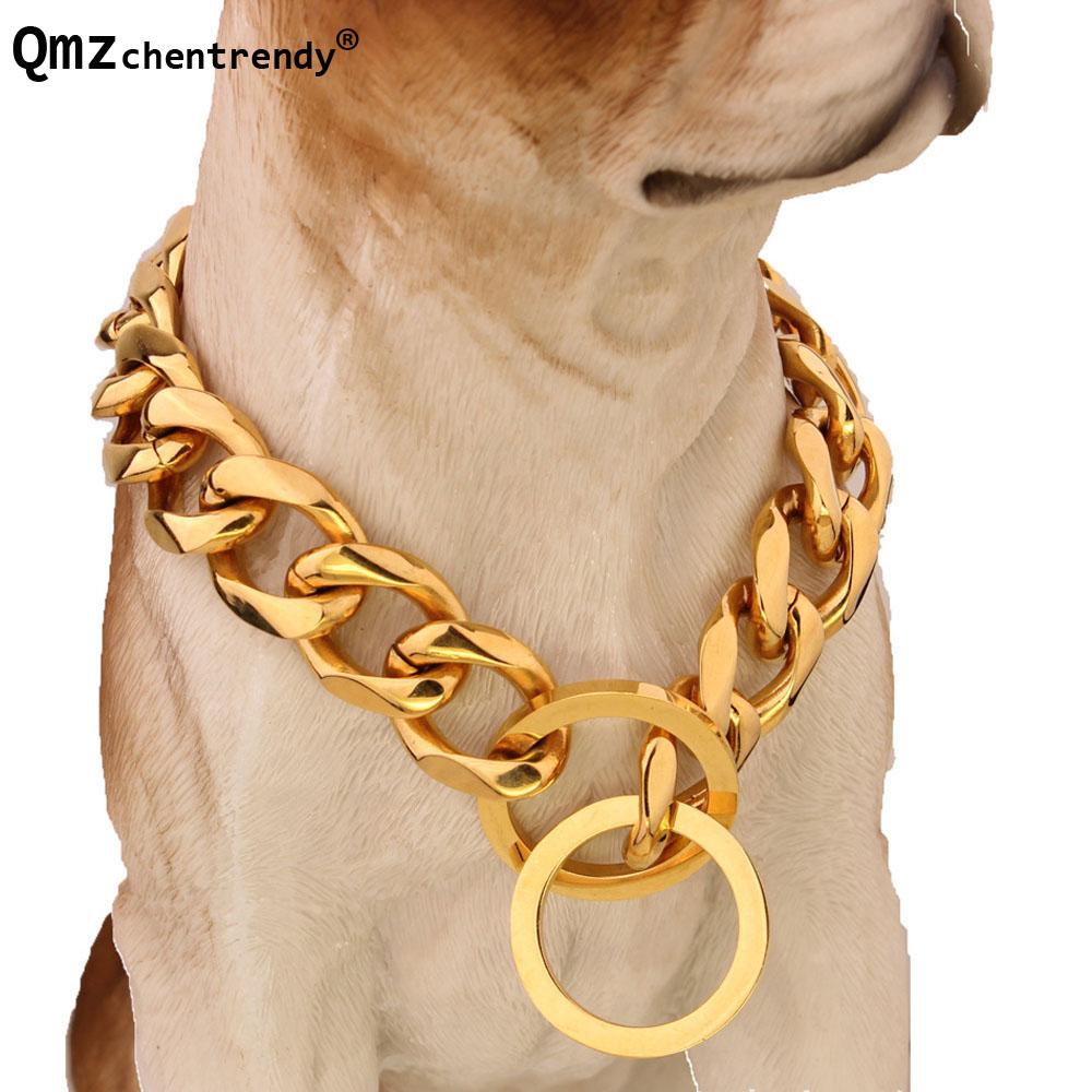 gold chain dog collar