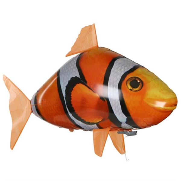 Fish