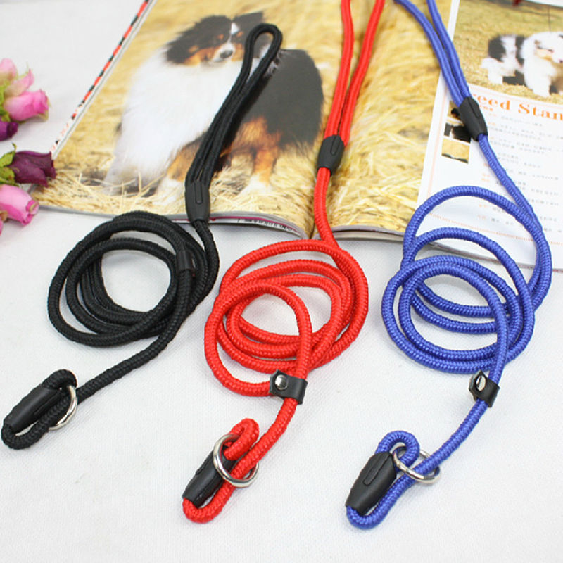 

Nylon Dog Training Leash Dogs P Chain Slip Collar Walking Leads Rope S  L For Small Medium Breeds Chihuahua Teddy