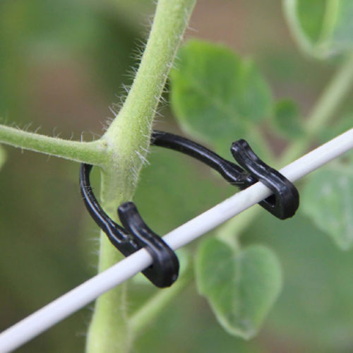 

100Pcs U Type Tomato Clips Trellis Garden Vegetable Binder Twine Plant Support A