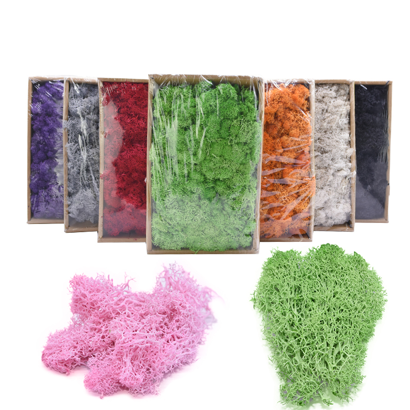 

20/40g Artificial Plant Eternal Life Moss Green Fake Moss For Home Flowerpot Wall Decor Mini Garden Turf Micro Landscape Supply, B10