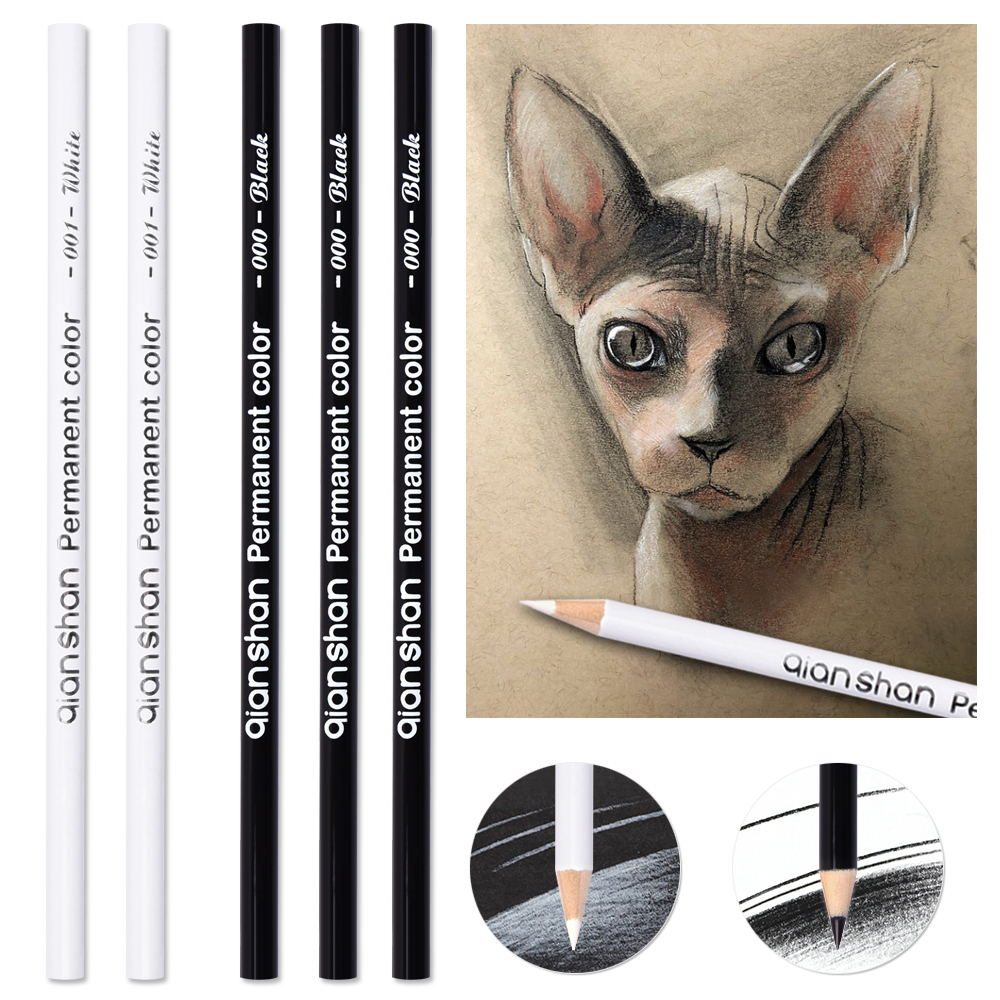 

5Pcs Black White Color Pencils - Permanent Color Drawing Pencil Oil-based Wooden Colored Pencils for Artist and Beginner