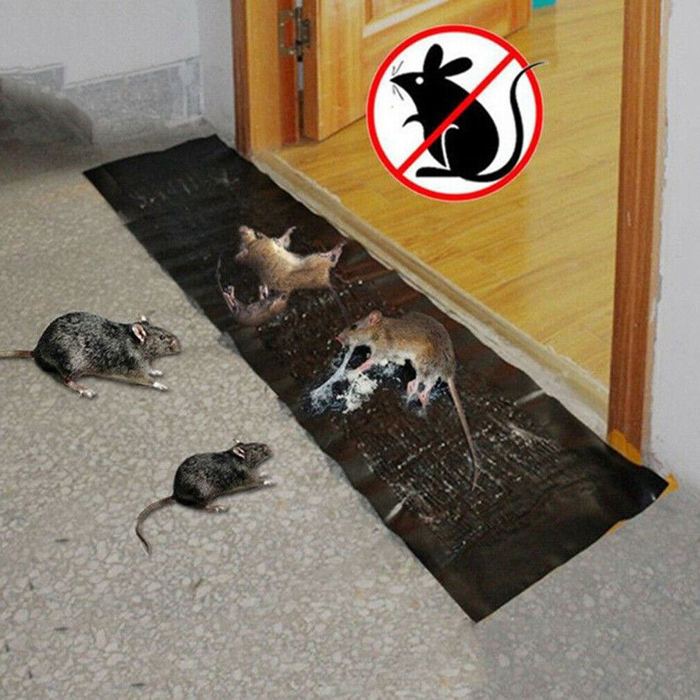 Large Size Super Catcher Glue Traps Super Sticky Rat Mice Mouse Rodent Snake Bugs Glue Traps Board Mat Non-Poison-image-520123654