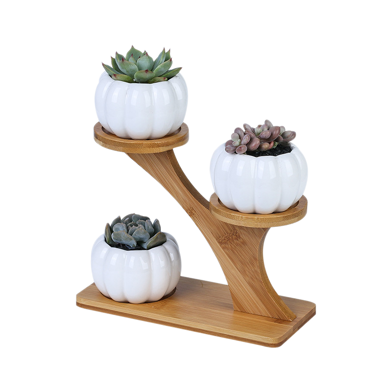 

Promotion! 1 Set Ceramic Garden Pots Modern Pumpkin Flowerpot Nursery Succulent Plant Pot 3 Bonsai Planters with 3-Tier Bamboo S, White