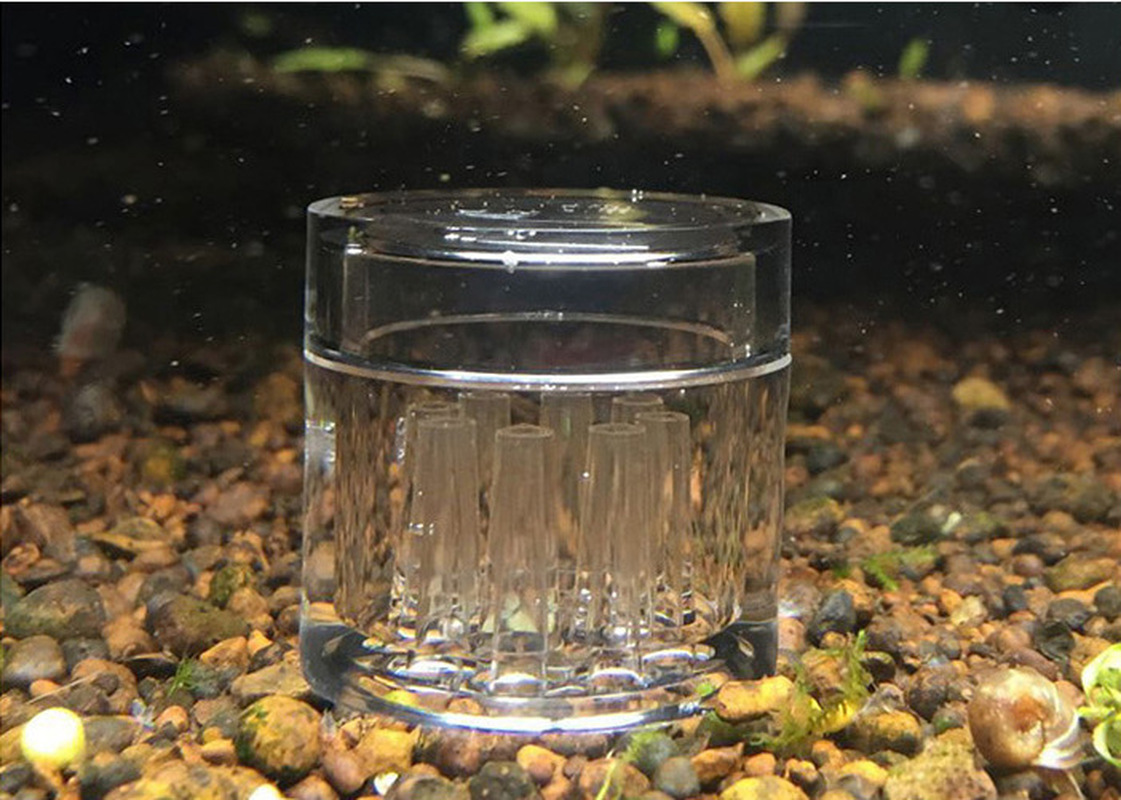 

8 Hole Snail Trap Transparent Leech Vivarium Planarian Pest Catch Pen Red Bee Shrimp Worm Bait Feeding Box Aquarium Cleaner Tool