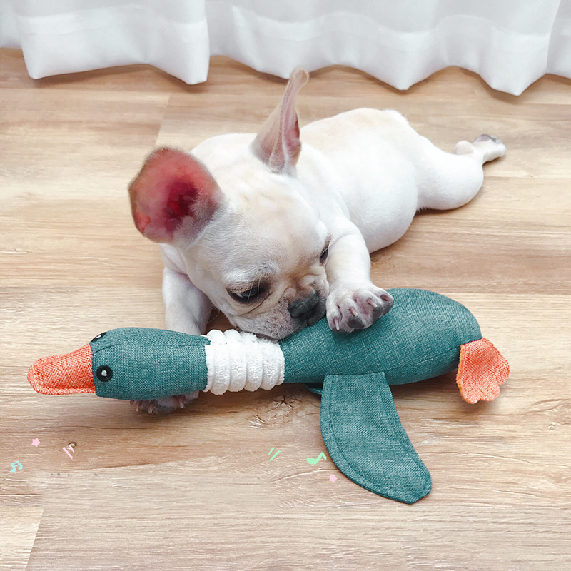 toys for pets online