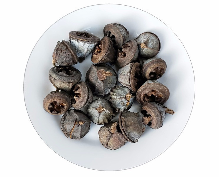 2019 Natural Dried Flower Fruit Ornaments For Vase Filler Bowl