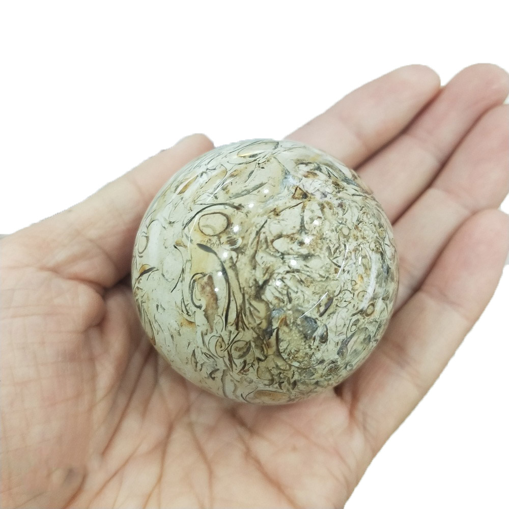 

1 pcs Dinosaur Bone Fossil Ball Palm Stone Heart Natural Fossil Stone Smooth Polished Pebble Reiki Healing Chakra Stone Home Decoration
