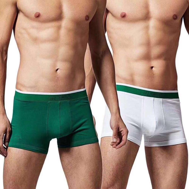 

New Designer Men Underwear Boxers Cotton mix Color Breathable Letter Underpants Shorts Design boxer Cuecas Tight Waistband m-xxl