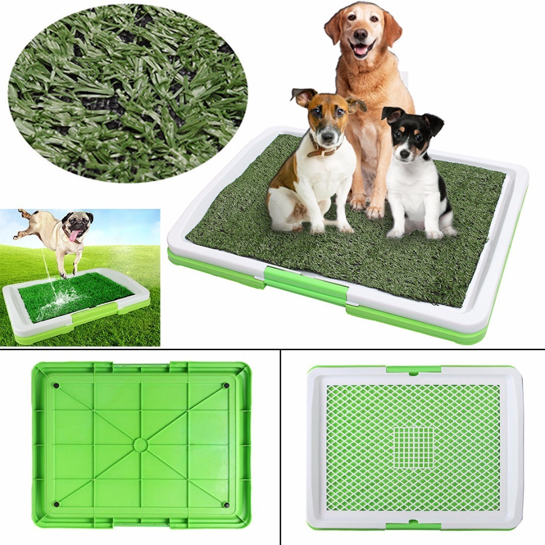 fake grass for puppy toilet training