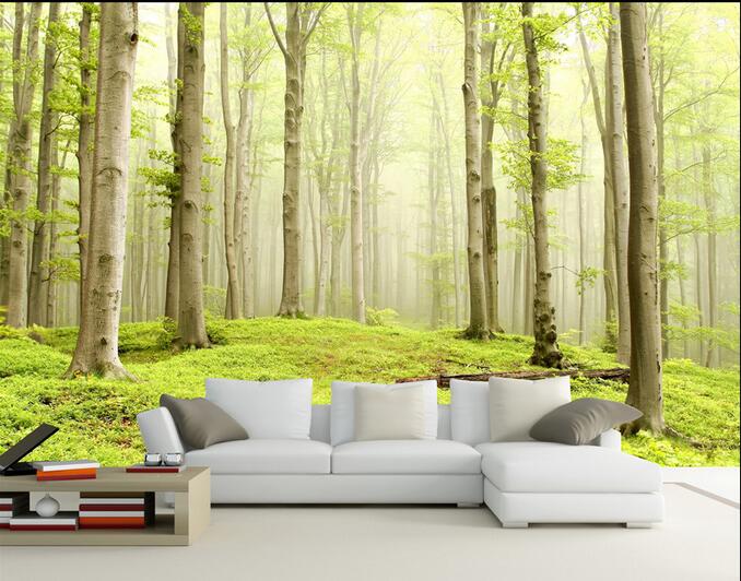 

3d wall paper for living room custom photo White birch forest grass early morning foggy landscape 3d wall murals wallpaper for walls 3 d, Non-woven wallpaper