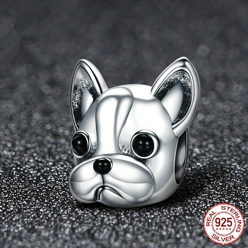 bouledogue pandora bouledogue pandora