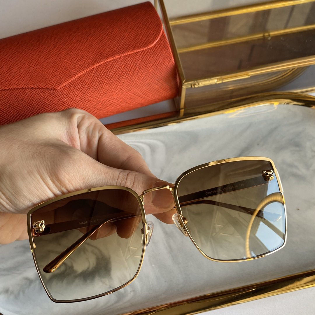 

Sunglasses Men Women Sun Glasses Oversize Leopard High Quality Gift CT0199S
