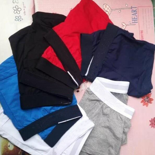 

wholesale Fashion Men's Underwear fashion men boxer briefs Slim Breathable Underpants High quality men underwear 2088, Mix color for