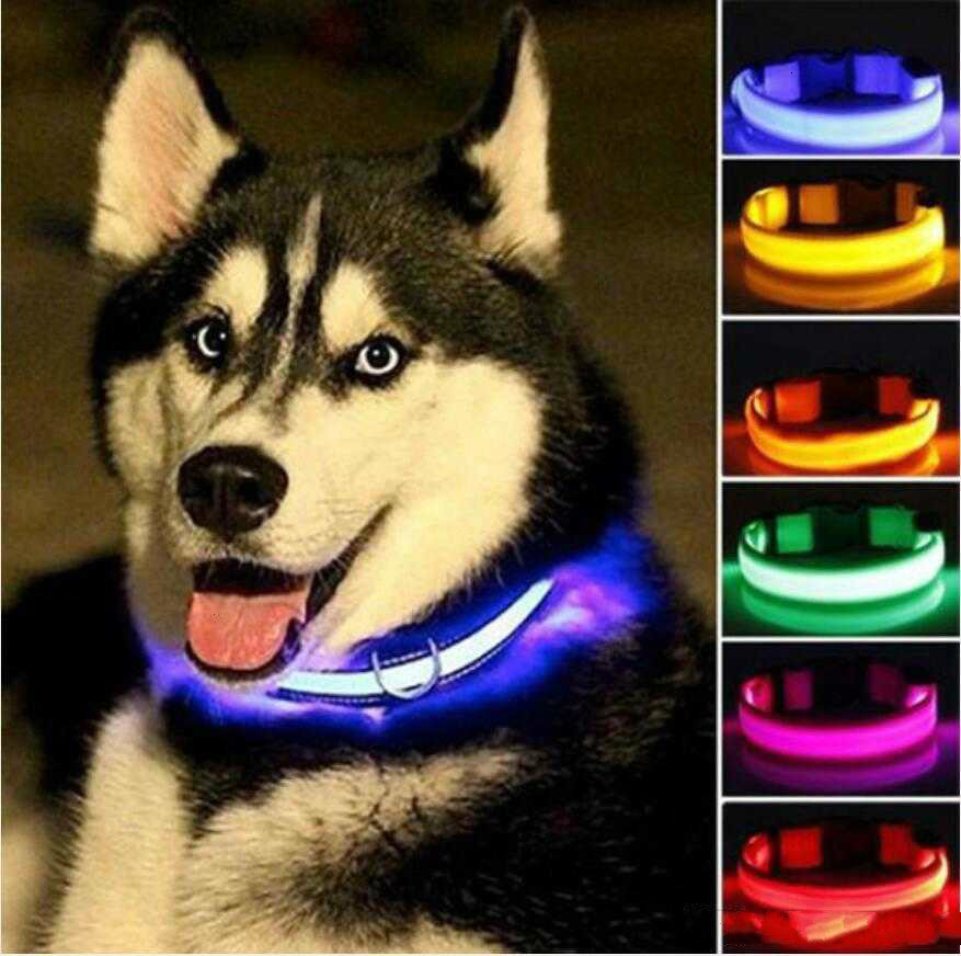 

Dog collar Nylon LED Pet Dog Collar Night Safety Flashing Glow In The Dark Dog Leash Dogs Luminous Fluorescent Collars Pet Supplies